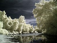 Art & Creativity: infrared photography