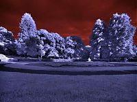 Art & Creativity: infrared photography