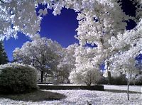 Art & Creativity: infrared photography