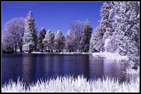 Art & Creativity: infrared photography