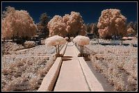 Art & Creativity: infrared photography