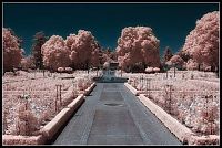 Art & Creativity: infrared photography