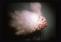 TopRq.com search results: Seeing the Unseen in Ultra High-Speed Photography by Harold Edgerton