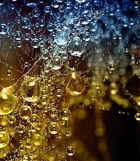 Art & Creativity: waterdrops in the nature