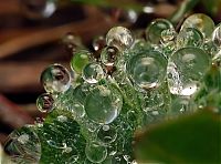 Art & Creativity: waterdrops in the nature