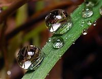 Art & Creativity: waterdrops in the nature