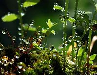 Art & Creativity: waterdrops in the nature