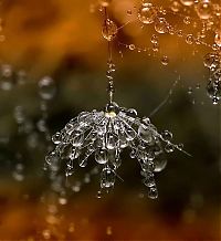 Art & Creativity: waterdrops in the nature
