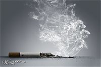 TopRq.com search results: smoke art
