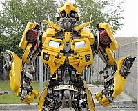 Art & Creativity: Bumblebee transformer