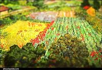 TopRq.com search results: Vincent Van Gogh's painting with tilt-shift effect