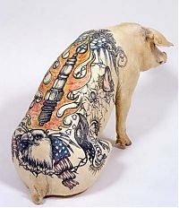 Art & Creativity: Tattooing pigs by Wim Delvoye