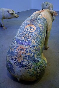 TopRq.com search results: Tattooing pigs by Wim Delvoye