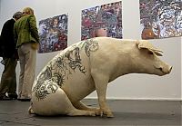 TopRq.com search results: Tattooing pigs by Wim Delvoye