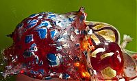 Art & Creativity: High speed photography by Alan Sailer