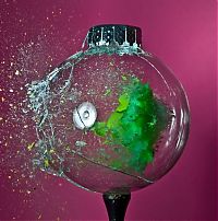 Art & Creativity: High speed photography by Alan Sailer