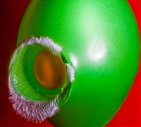 Art & Creativity: High speed photography by Alan Sailer