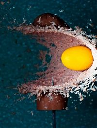 Art & Creativity: High speed photography by Alan Sailer