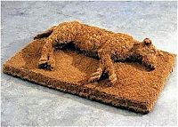 TopRq.com search results: house entrance doormat