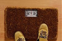 TopRq.com search results: house entrance doormat
