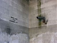 TopRq.com search results: Graffiti drawings by Banksy