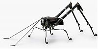 TopRq.com search results: sculpture made out of typewriter parts