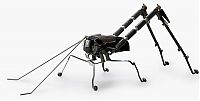 Art & Creativity: sculpture made out of typewriter parts