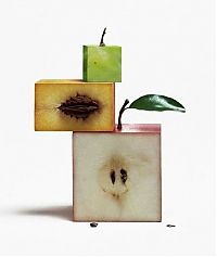 TopRq.com search results: Photographs by Geof Kern