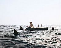 TopRq.com search results: Photographs by Geof Kern