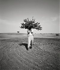 Art & Creativity: Photographs by Geof Kern