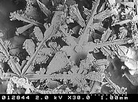 Art & Creativity: snowflakes under microscope