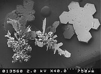 Art & Creativity: snowflakes under microscope