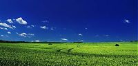 Art & Creativity: Nature by Zsolt Zsigmond