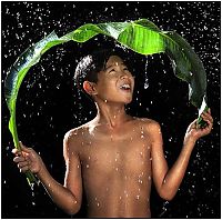 Art & Creativity: rain photography