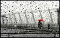 Art & Creativity: rain photography