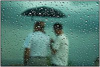 Art & Creativity: rain photography