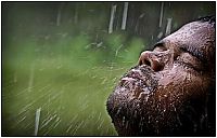 Art & Creativity: rain photography