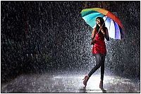 Art & Creativity: rain photography