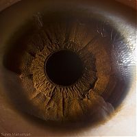 TopRq.com search results: Macro eye by Suren Manvelyan