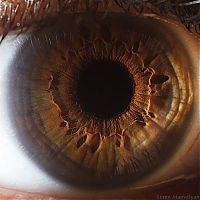 TopRq.com search results: Macro eye by Suren Manvelyan