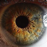 Art & Creativity: Macro eye by Suren Manvelyan