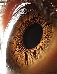 TopRq.com search results: Macro eye by Suren Manvelyan