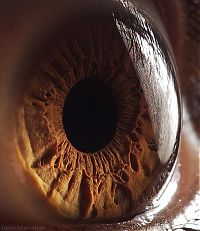 Art & Creativity: Macro eye by Suren Manvelyan