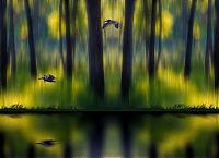 Art & Creativity: Photo manipulation by Peter Holme III