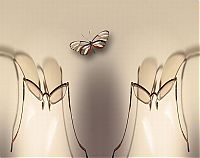 TopRq.com search results: Photo manipulation by Peter Holme III
