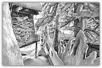 Art & Creativity: winter pencil drawing