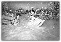 Art & Creativity: winter pencil drawing