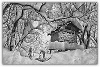 Art & Creativity: winter pencil drawing