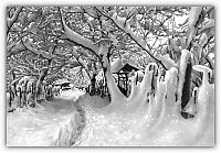 Art & Creativity: winter pencil drawing