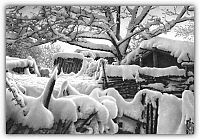 Art & Creativity: winter pencil drawing